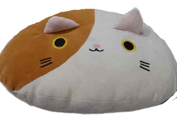 Óculos, o gato calico